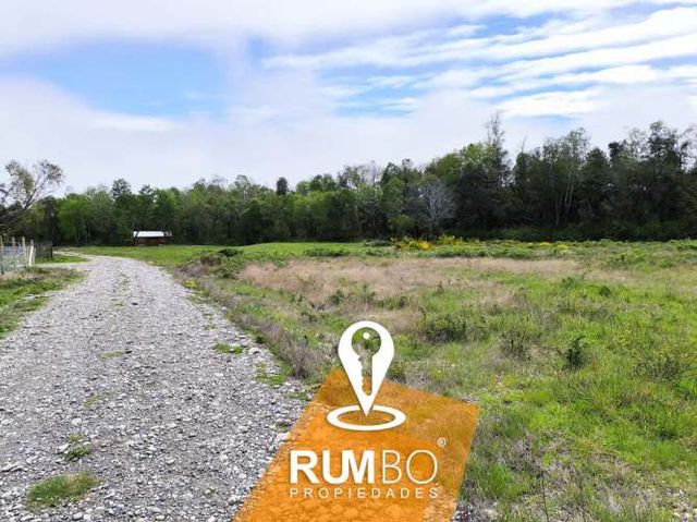 En venta parcela 5.000 m2 sector Maria Luisa, Villarrica