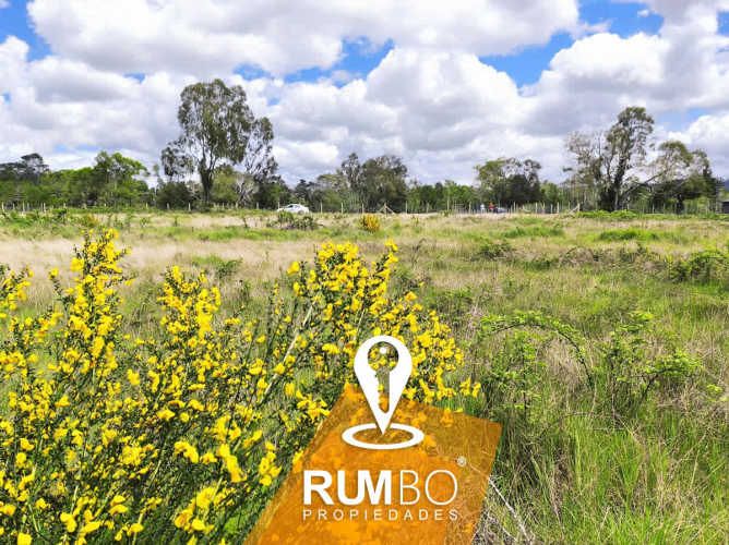 En venta parcela 5.000 m2 sector Maria Luisa, Villarrica