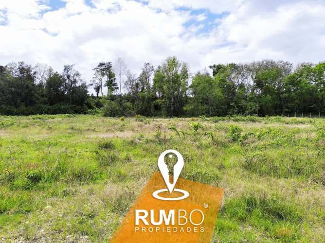 En venta parcela 5.000 m2 sector Maria Luisa, Villarrica