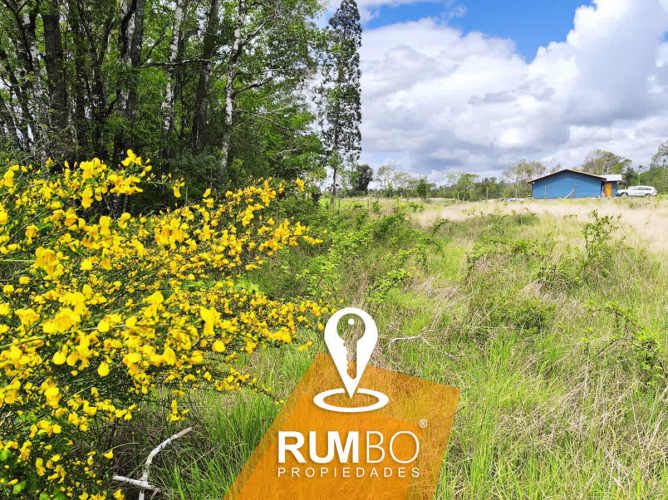 En venta parcela 5.000 m2 sector Maria Luisa, Villarrica