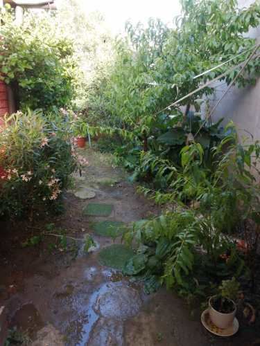 Casa excelente condición y ubicación