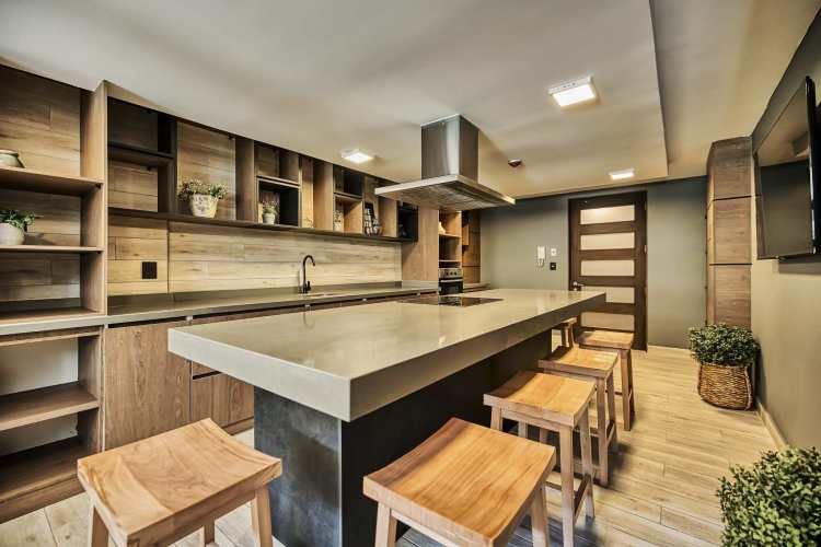 Claudio Gay [2580-11]