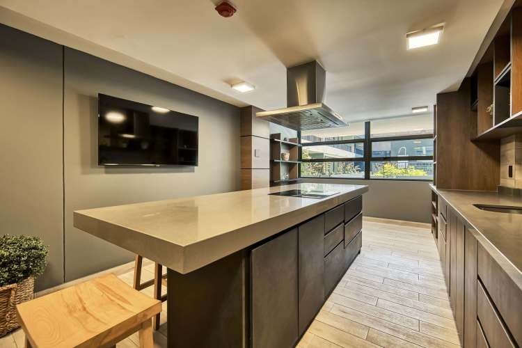 Claudio Gay [2580-11]