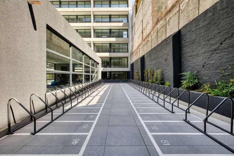 Claudio Gay [2580-11]