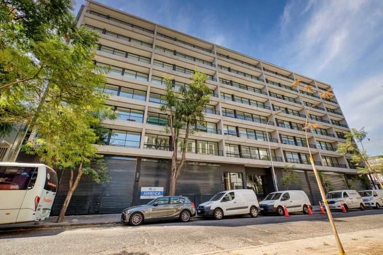 Claudio Gay [2580-11]