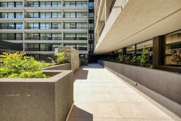 Claudio Gay [2580-11]