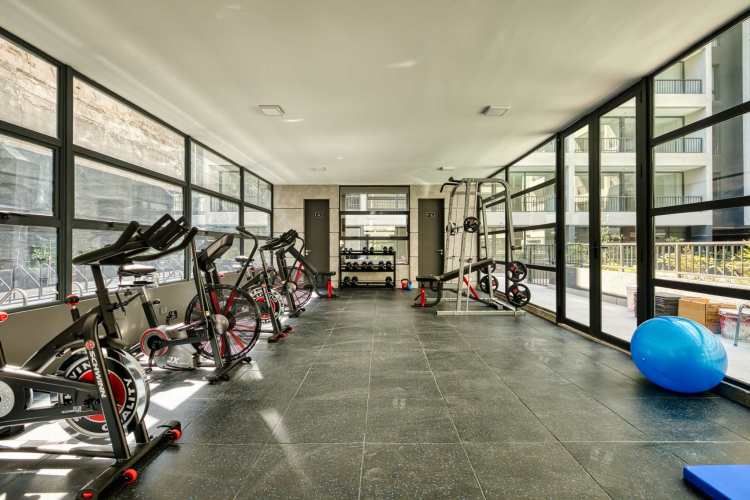 Claudio Gay [2580-11]