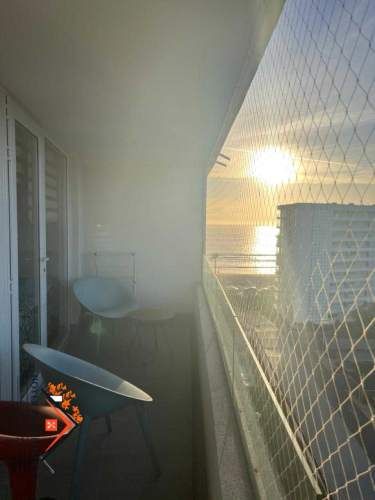 PRIMERA LÍNEA (133809)