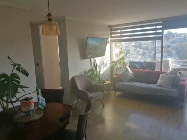 Arrienda departamento año corrido Vina del Mar