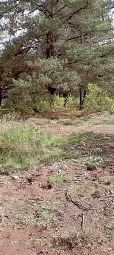 INDUSTRIAL Camino internacional