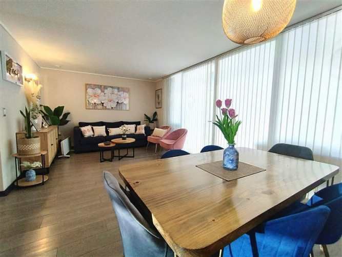 CASA Alto Macul Lo cañas