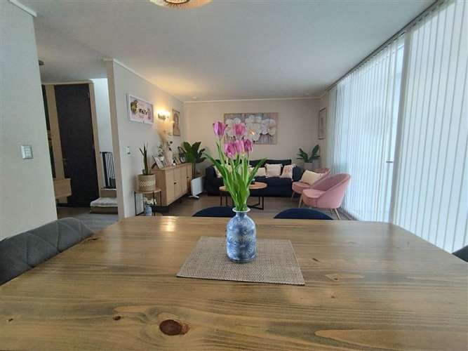 CASA Alto Macul Lo cañas