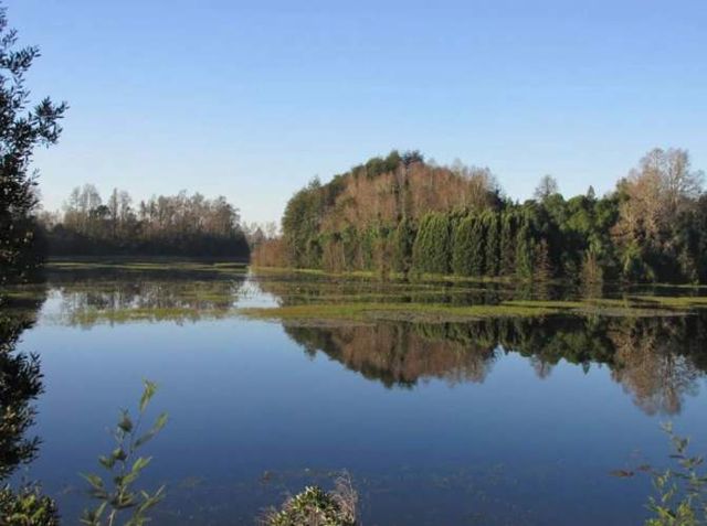 PARCELA CON ORILLA DE RÍO VALDIVIA, CONDOMINIO