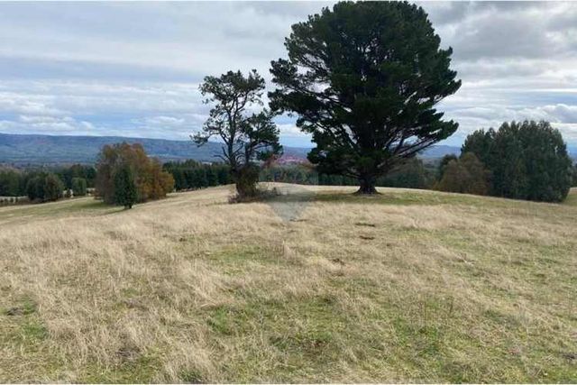 Campo de 78 hectareas cherquenco