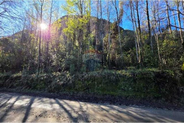 Parcela con acceso exclusivo a lago colico