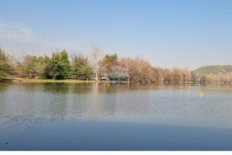 Maravillosa casa con laguna, lujo y naturaleza