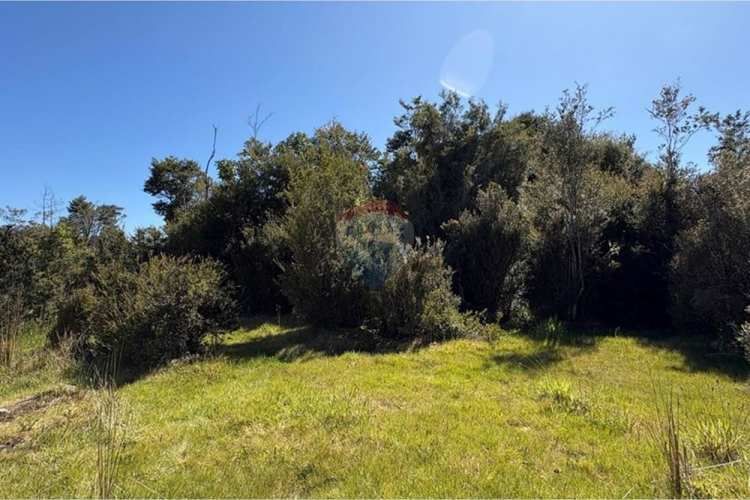 Parcela plana con estero en estaquilla beach