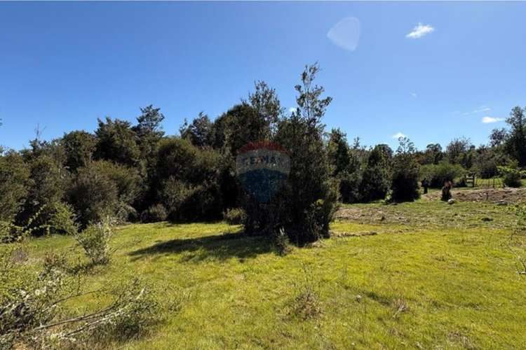 Parcela plana con estero en estaquilla beach