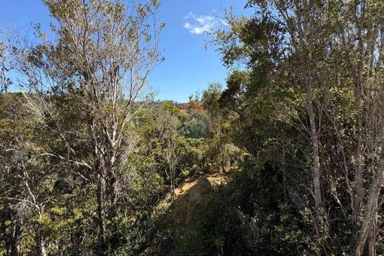 Parcela plana con estero en estaquilla beach