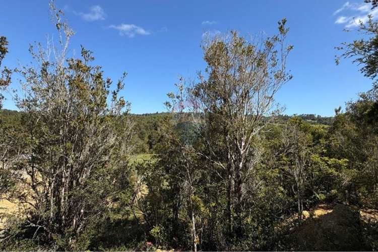 Parcela plana con estero en estaquilla beach