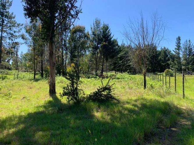 HERMOSA PARCELA 5MIL M2 A METROS DEL RÍO TOLTÉN