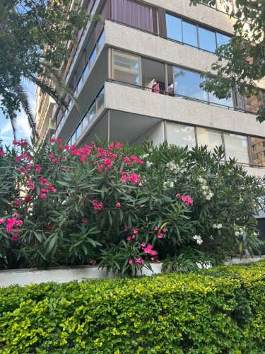 DEPARTAMENTO XXL EN VITACURA METRO