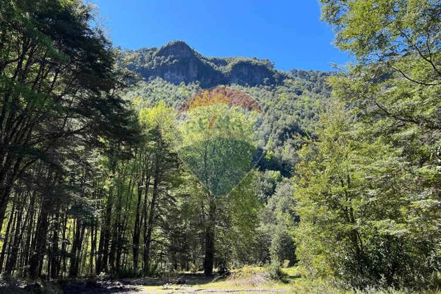 "invierte en curarrehue: 5000m² naturaleza pura"