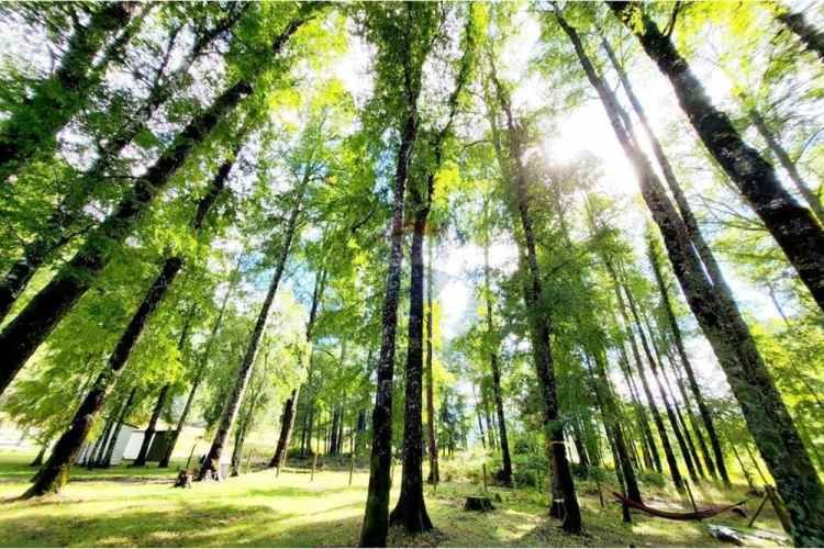 Casa en parcela pucon