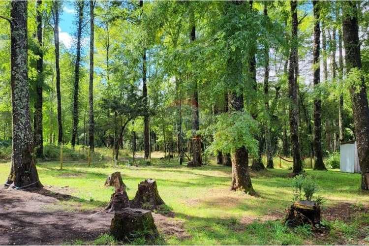 Casa en parcela pucon