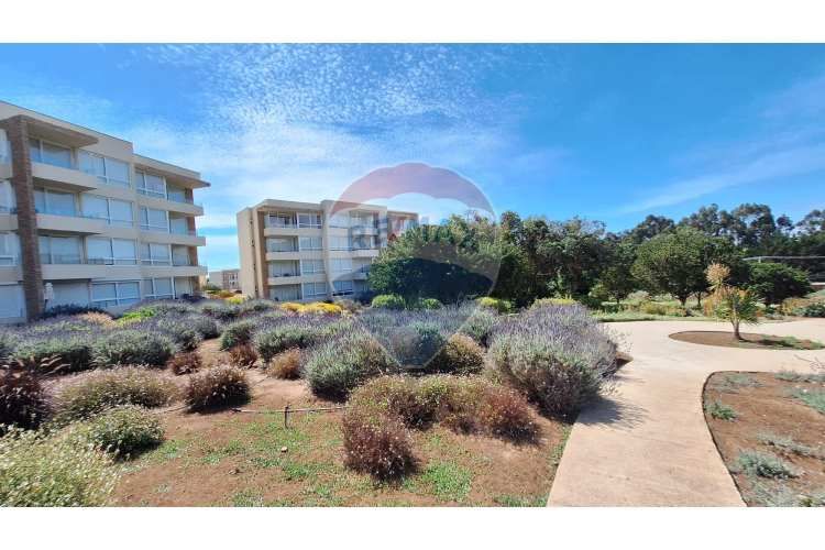 &quot;encantador  depto. 3d-2b con piscina en papudo&quot;