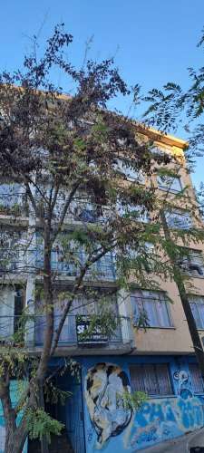 Departamento Yerbas Buenas 81, 2381072 Valparaíso