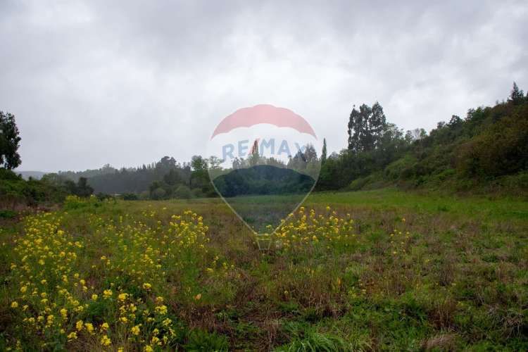 Proyecto  parcelas  los cerezos