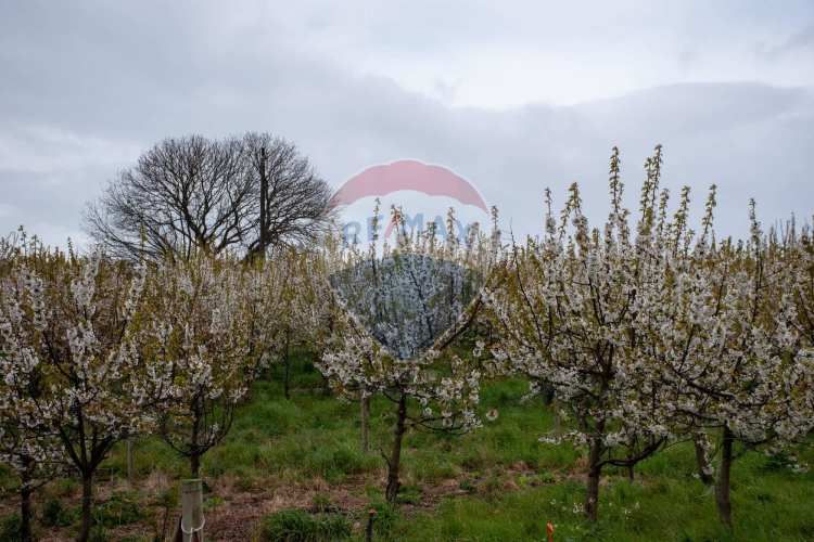 Proyecto  parcelas  los cerezos