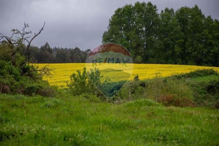 Proyecto  parcelas  los cerezos