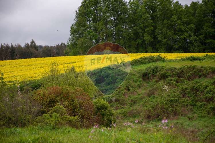 Proyecto  parcelas  los cerezos