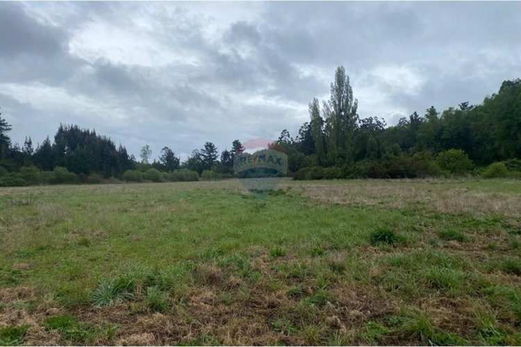 Proyecto  parcelas  los cerezos