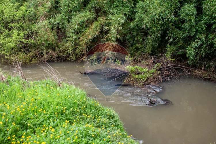 Proyecto  parcelas  los cerezos