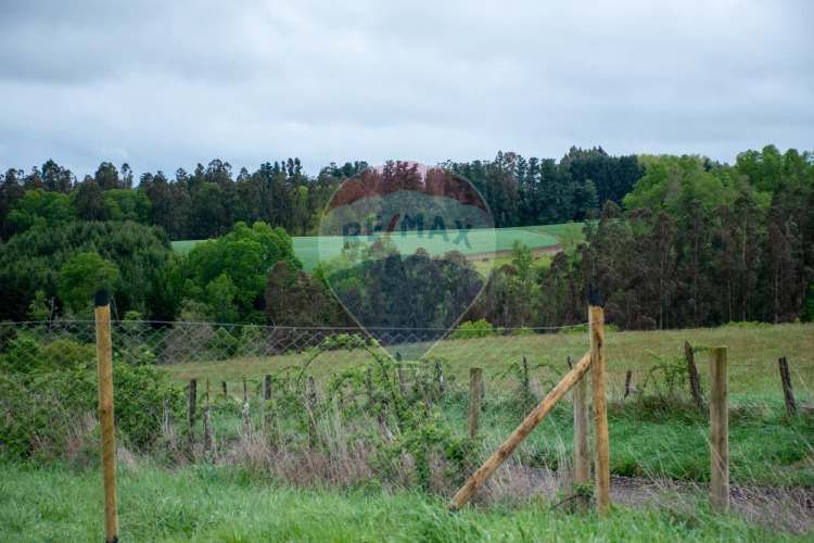 Proyecto  parcelas  los cerezos