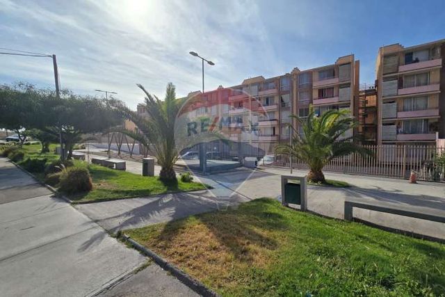 Depto 3d 1b  barrio universitario sector sur