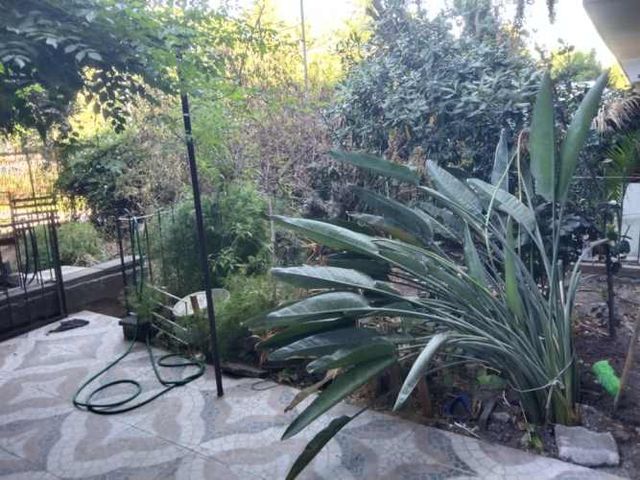 DPTO VILLA PORTALES 3D 2B GRAN PATIO PROPIO