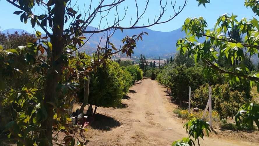 PARCELA Isabel Riquelme