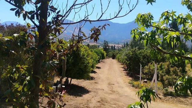 PARCELA Isabel Riquelme