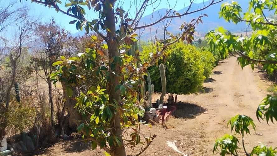 PARCELA Isabel Riquelme