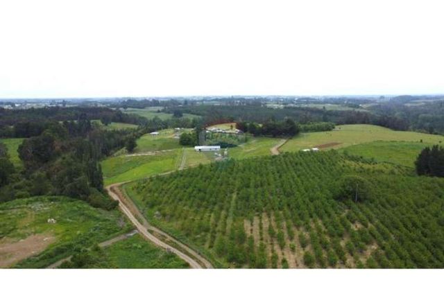 Venta terreno de 4.8 hectáreas sector centinela