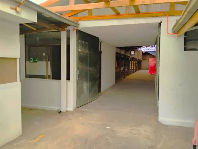 BODEGA Almirante Veliz con las Brisas