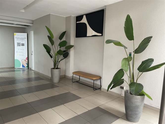 DEPARTAMENTO Calle nueva 141