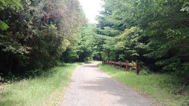 PARCELA Condominio Altos del Huife, Pucón. La Araucanía.