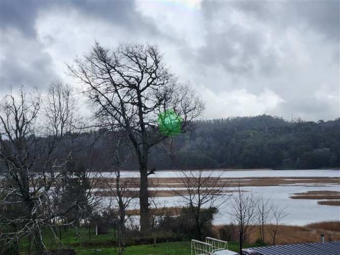 DEPARTAMENTO Isla Teja