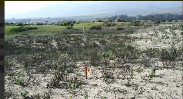 SITIO Silvia González Markmann