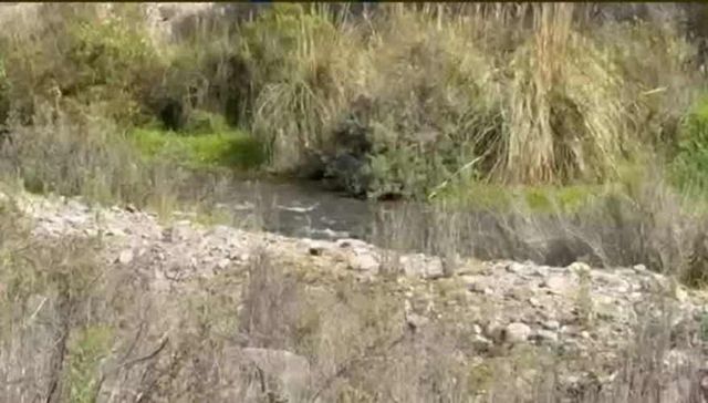 SITIO las vertientes